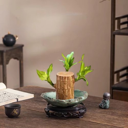 中式巴西木水培花盆陶瓷复古绿釉大口径高脚绿植家用桌面摆件带托
