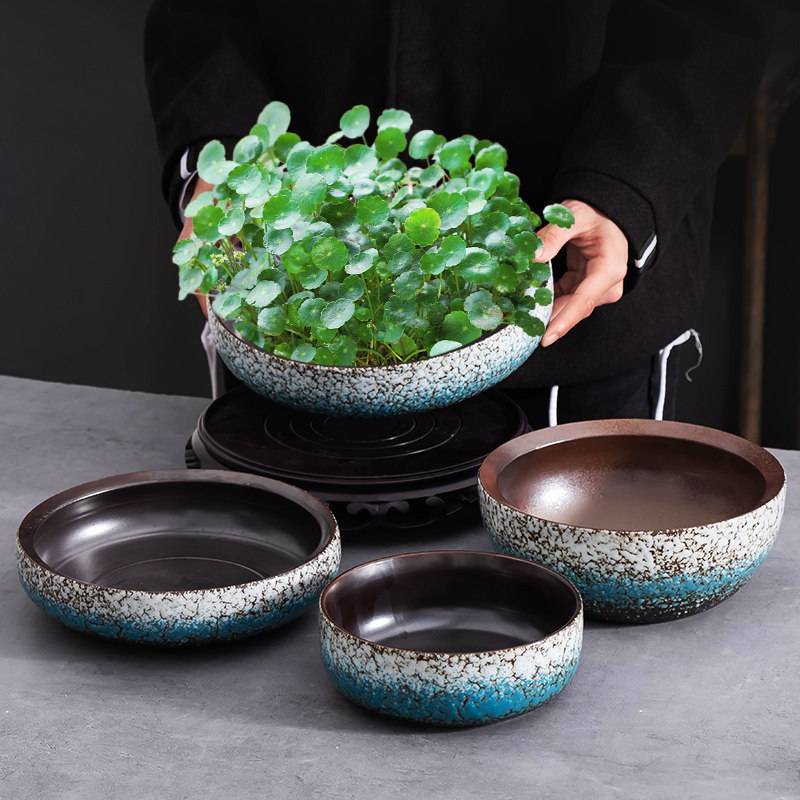 创意蓝白铜钱草专用水培器皿大口径花盆客厅厚实陶瓷装饰家用带托