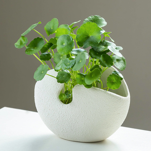 铜钱草花盆陶瓷水培容器创意简约摆件饰品器皿绿萝多肉花器清仓