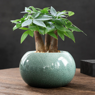 多肉花盆特价清仓月季绿植小盆栽客厅创意透气文竹老桩哥窑罐带托