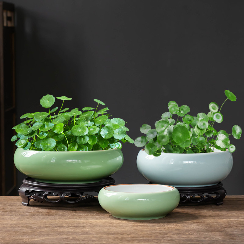 铜钱草专用水培金钱草天青色花盆陶瓷无孔大号口径家用阳台带托盘,鲜花速递/花卉仿真/绿植园艺,花盆,淘宝优惠券,粉丝福利购,淘宝优惠卷