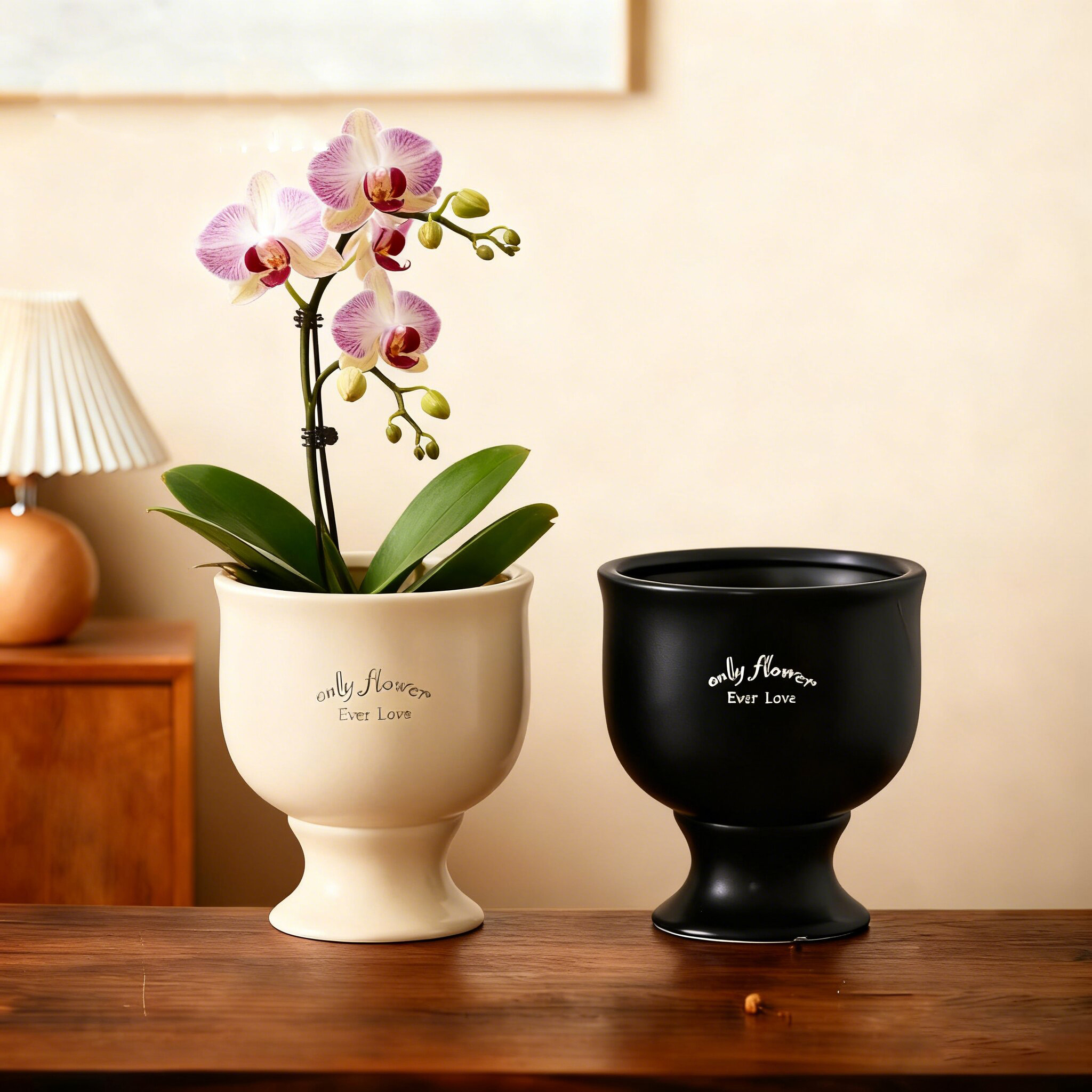 蝴蝶兰花盆专用绿植盆景陶瓷中式简约轻奢家用室内盆栽装饰摆件