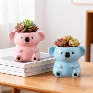 多肉花盆陶瓷可爱创意卡通盆栽高颜值家用办公室桌面绿植装 饰器皿