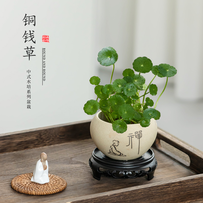 简约粗陶铜钱草花盆创意手绘圆口水养专用绿植盆家用桌面摆件带托