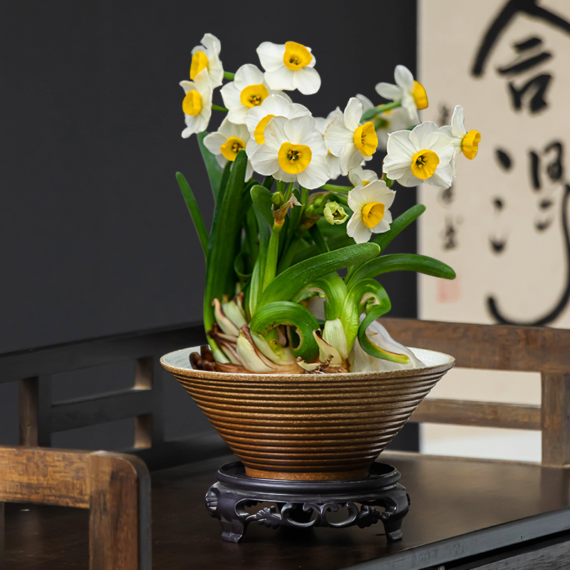 水仙花复古横纹水培花盆带托盘