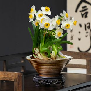 复古雕刻水仙花水培器皿花盆家用桌面横纹装 饰大口径绿植水养带托