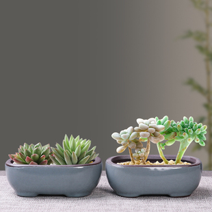 简约透气哥窑开片多肉花盆复古微型圆口盆景小号桌面拇指苔藓造景