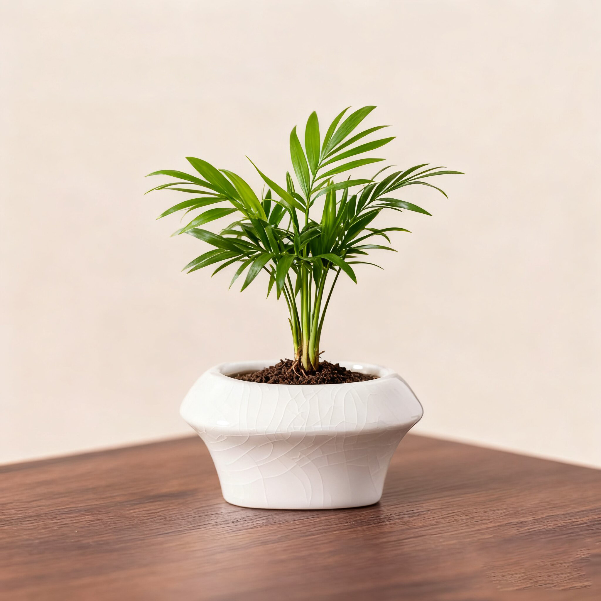 陶瓷花盆袖珍椰子专用盆栽中式简约家用办公阳台桌面透气盆景盆