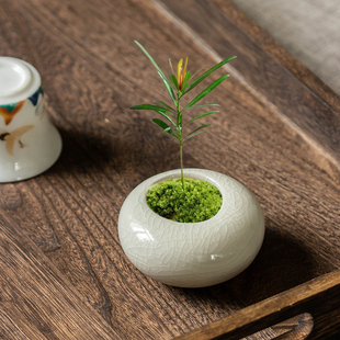 简约哥窑罗汉松花盆陶瓷小口径家用有孔透气迷你绿植小盆栽带托盘