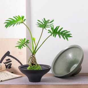 禅意白陶花盆简约素雅陶瓷花器苔藓球专用花盆适配多种绿植造景盆