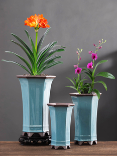 高雅六角君子兰兰花专用花盆创意紫砂哥窑开片陶瓷绿植盆室内摆件