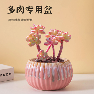 复古流釉多肉花盆大口径陶瓷创意南瓜盆家用桌面肉肉专用盆栽