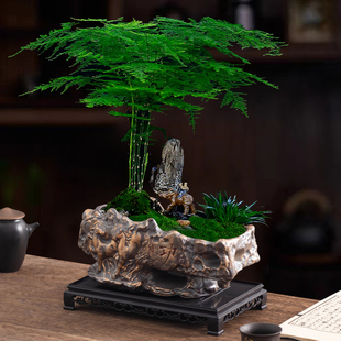 粗陶文竹花盆陶瓷复古马到成功大口径家用透气桌面盆景盆带托盘