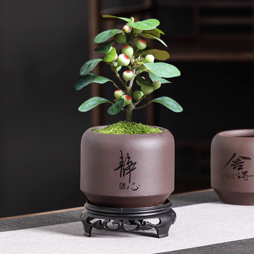 中式紫砂小盼菩提专用花盆陶瓷圆口禅意家用桌面植物盆栽盆带托盘