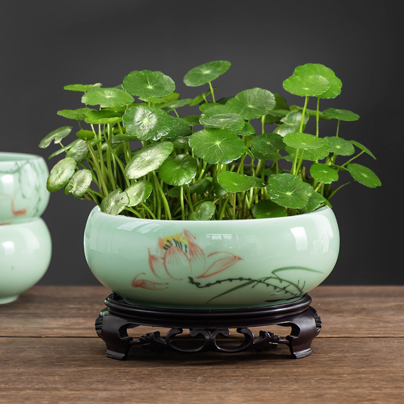 铜钱草水培花盆中式青瓷简约大口径家用桌面绿植盆栽水养盆缸