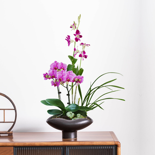 剑山插花器水培器皿中式 陶瓷无孔大口径花盆客厅桌面景观盆景盆