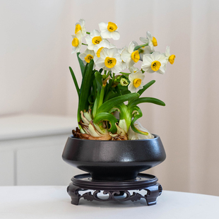 中式 陶瓷水仙花专用花盆路宝高脚圆口家用桌面绿植水养盆栽盆带托