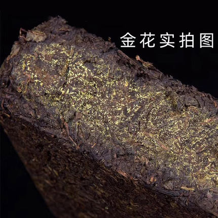 湖南安化黑茶正品益生菌金花正宗茯砖茶酵素菌养生茶