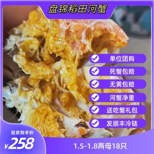 1.8两母18只特大鲜活水产螃蟹 大闸蟹盘锦河蟹稻田蟹1.5 活蟹