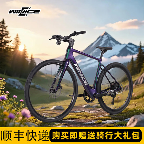 WINICE电助力自行车油刹平把