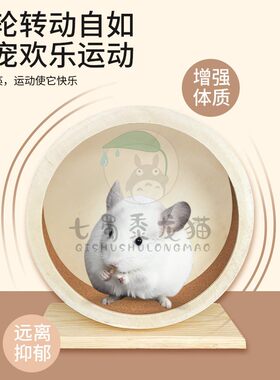 龙猫玩具木制静音跑轮
