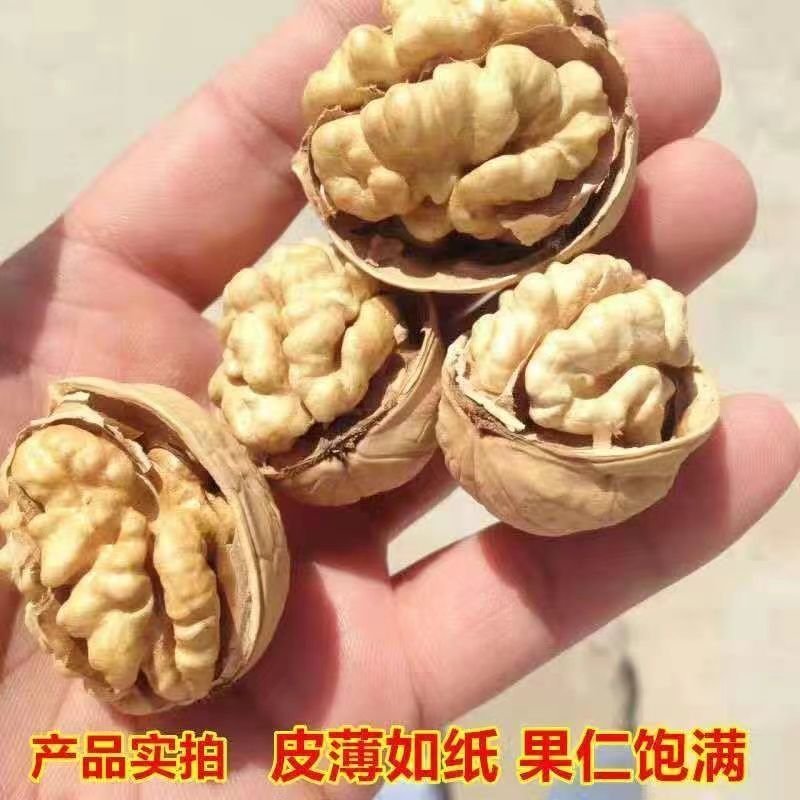 2026年新货生核桃新疆阿克苏薄皮手捏核桃孕妇坚果纸皮核桃薄壳