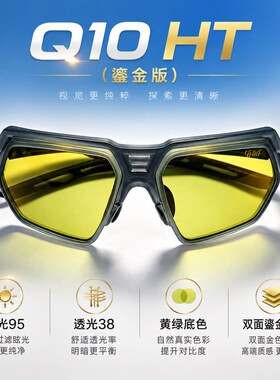 大伟鹭蛮Q10 HT（鎏金版）钓鱼镜找鱼镜X10偏光镜太阳镜增亮眼镜