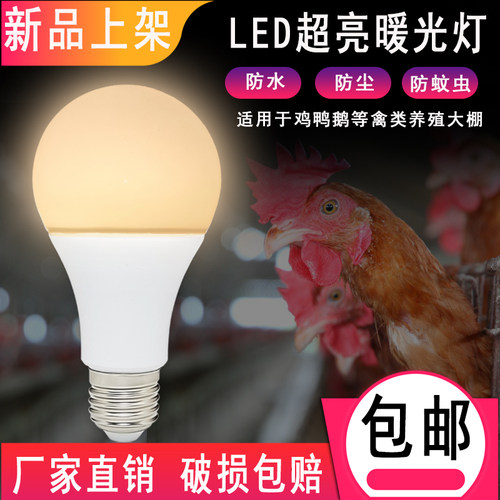 三色变光卧室客厅插口led灯泡