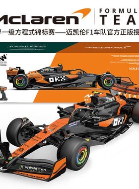 F1R2遥控车迈凯轮橙色:男孩14方程式模型AM赛车收藏版41