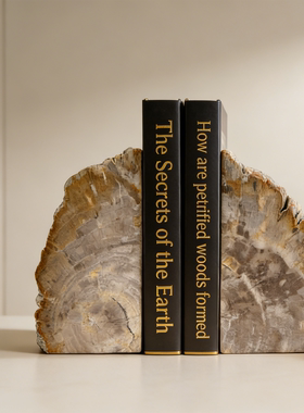 办公室装饰书柜摆饰书房摆件书挡