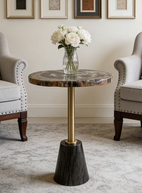 轻奢样板房售楼处硅化木边几摆件