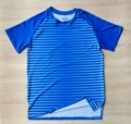Blue Shandong