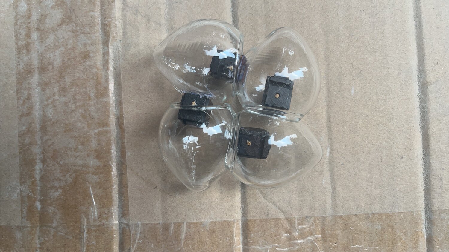 中号透明杂鸟杯大相思杯1.2厘米卡位光面鸡心型56支60支64支4装