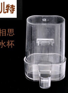 小孖杯相思绣眼金丝雀喂食器