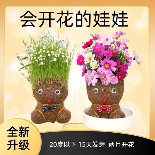 抖音同款开花娃娃可爱创意盆栽浇水草头娃娃迷你桌面植物简单好种
