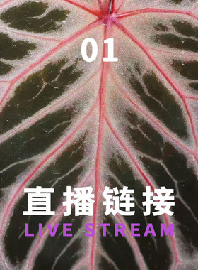 06042000福利组合1-12