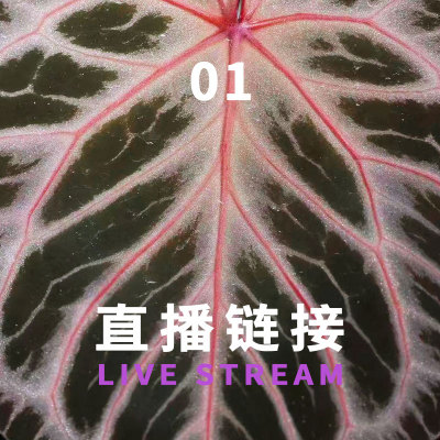 06042000福利组合1-12