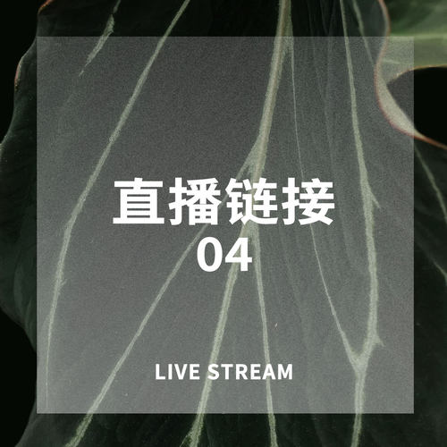 1008 20:00新手组合1-20