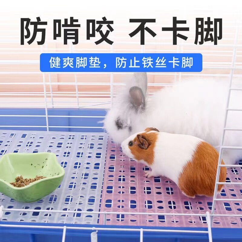 兔子荷兰猪脚垫垫脚网格图片