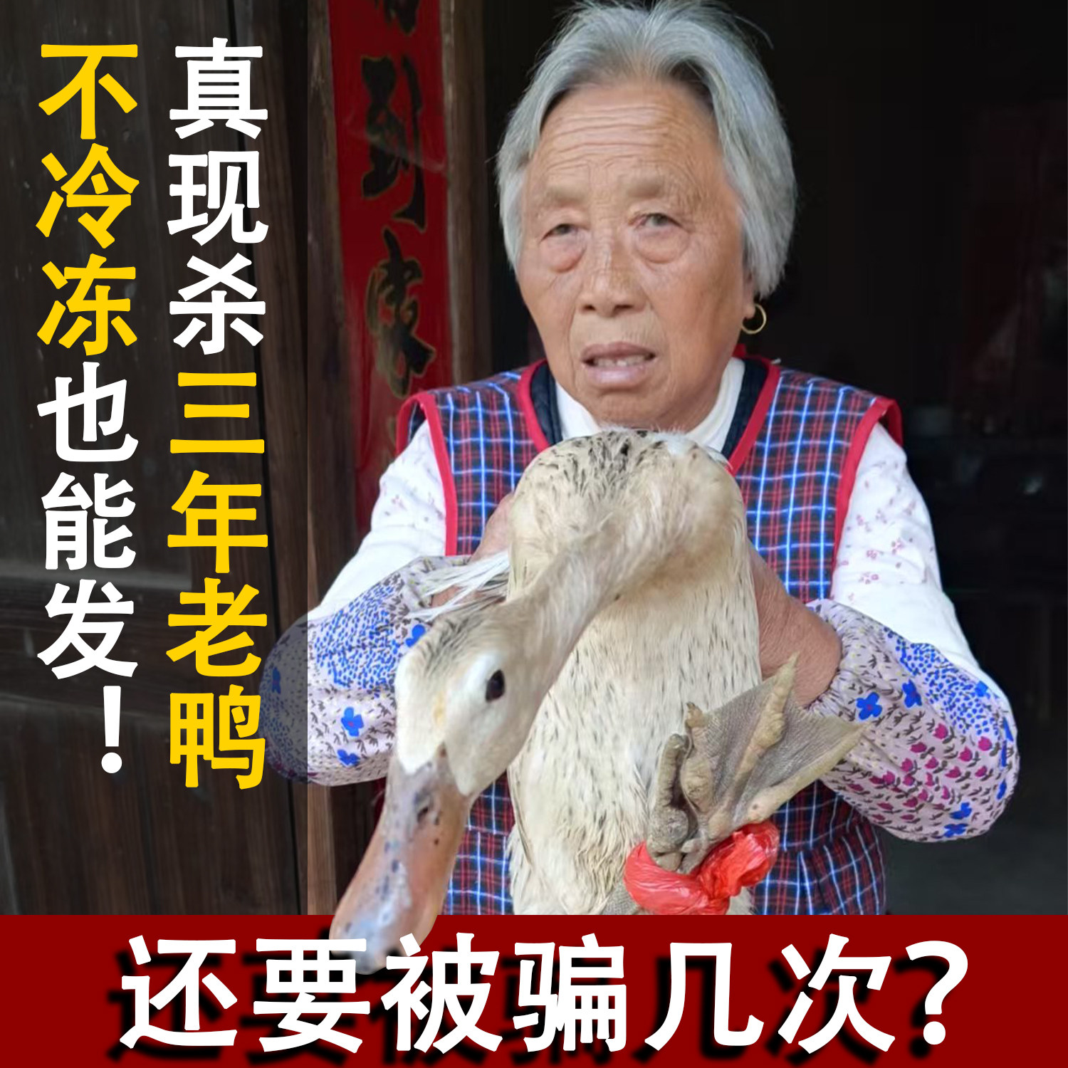 枞阳老鸭三年老鸭子农家散养麻鸭新鲜鸭子肉整只活体现杀水鸭土鸭,水产肉类/新鲜蔬果/熟食,鸭肉/鸭肉制品,淘宝优惠券,粉丝福利购,淘宝优惠卷