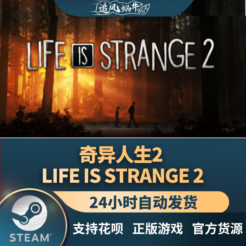 pc正版 奇异人生2 life is strange 2 国区礼物