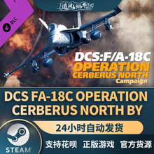 Steam 正版 PC 游戏 DCS: F/A-18C Operation Cerberus North by