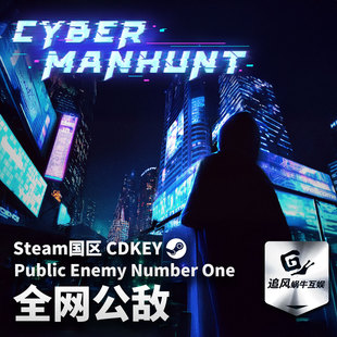 Steam 正版 PC 游戏 全网公敌 国区激活码 CDKEY