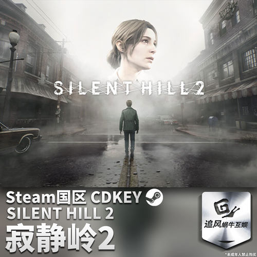 寂静岭2SILENTHILL2国区激活码