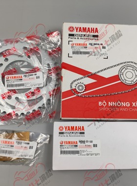 进口EXCITER150GP150兴奋剂150原厂大小飞链轮链条