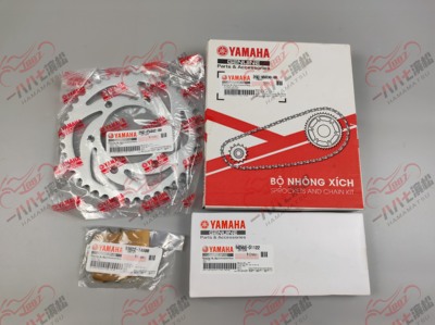 进口EXCITER150GP150兴奋剂150原厂大小飞链轮链条