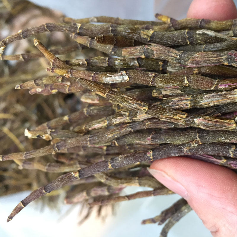 浙江活树上梨树上铁皮石斛芽干条紫红短节铁皮枫斗短条 干货