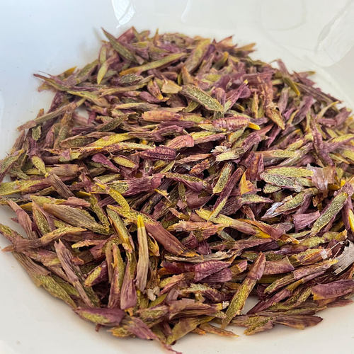 露天半野紫红切片铁皮石斛切片