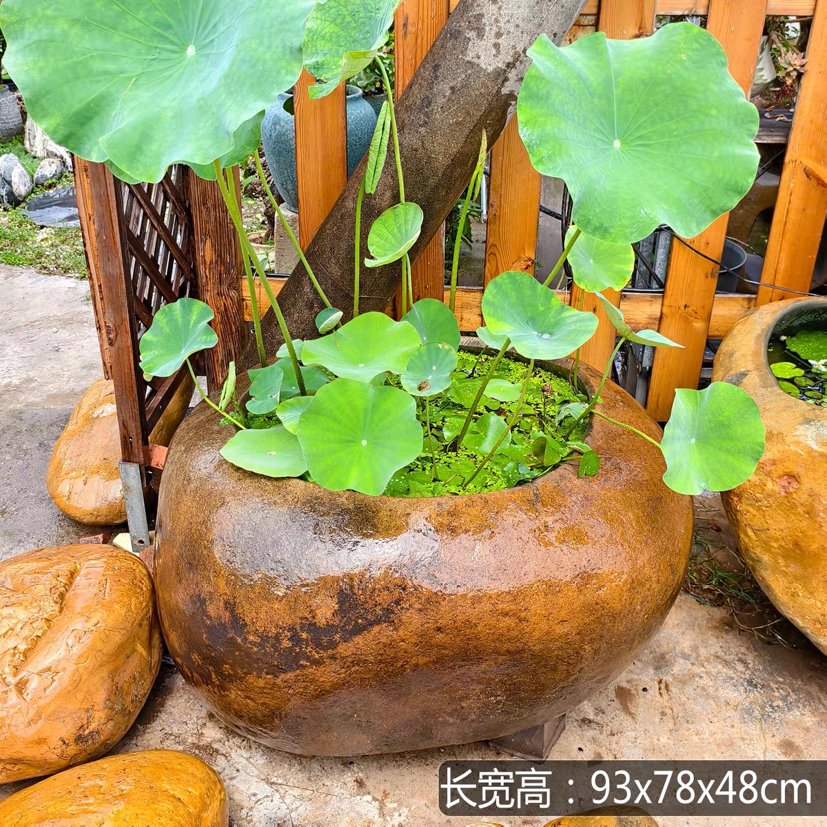 庭院花园天然大石头鱼缸荷花池