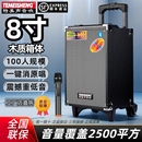 特美声户外广场舞演出带无线话筒大功率移动音响蓝牙K歌拉杆音箱